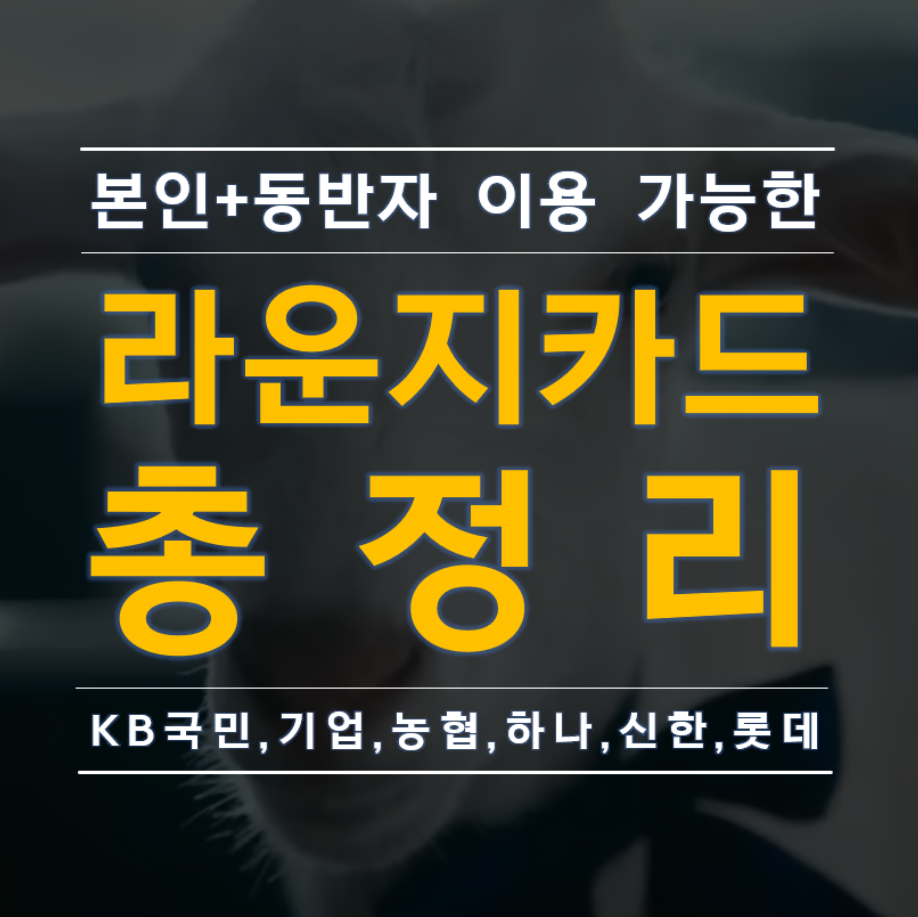 본인과 동반자 이용 가능한 라운지 카드 총정리