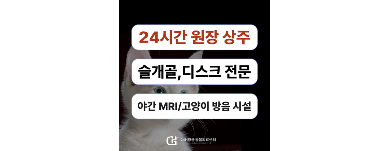 대구 수성구 동물병원