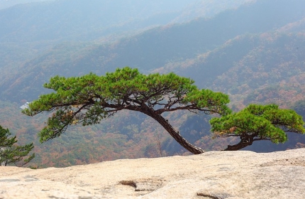 2023 추석연휴 서울근교 가을여행 나들이