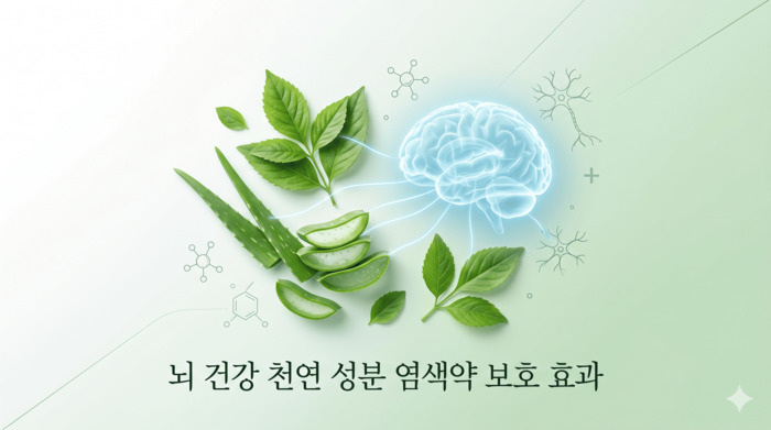 뇌건강 천연 성분 염색약 보호 효과