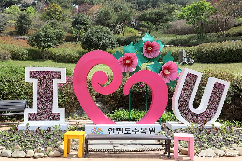 안면도수목원 가이드 : 입장료 할인부터 예약까지