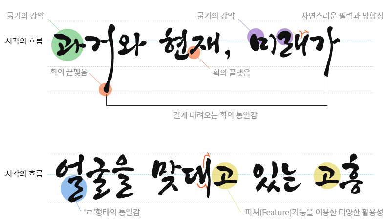 행복고흥체 특징