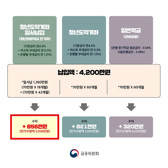  청년도약계좌 일시납입은 어떻게 이루어지나요?