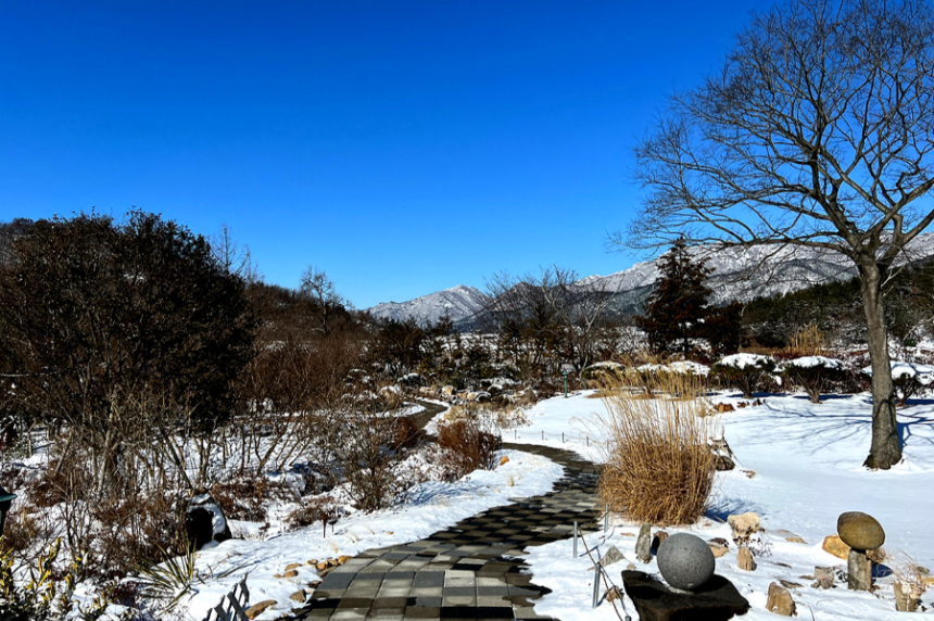 특색있고 아름다운 민간 정원 30선 추천 여행 - 08. 해남 문가든