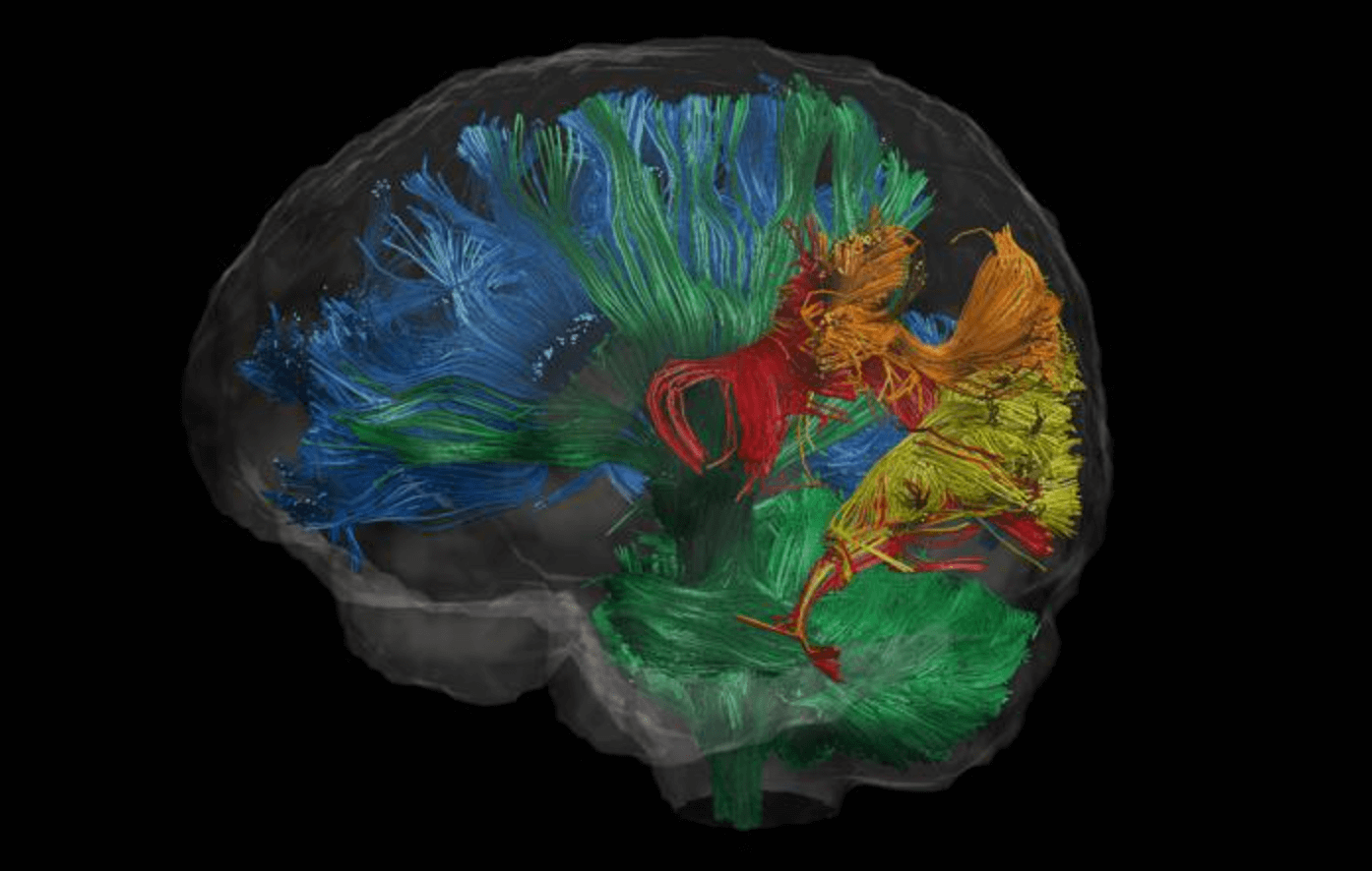 자율신경계 이상