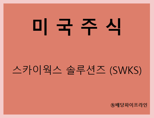 스카이웍스 솔루션즈 배너