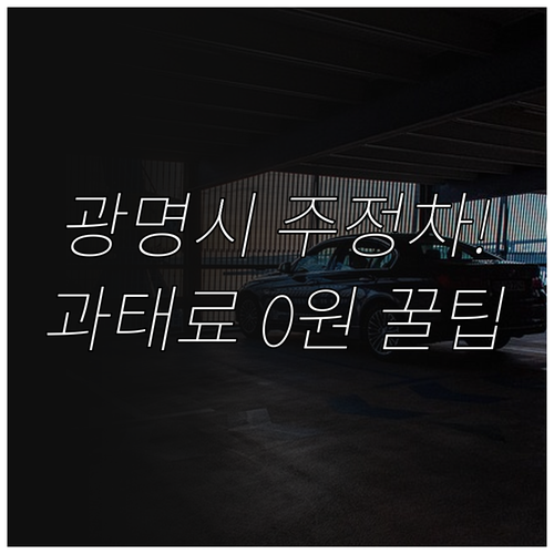 광명시 주정차단속 사전 알림 신청으로..