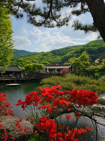 화담숲예약하기