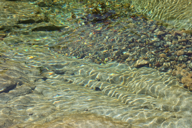 물이 흐르지 않는 꿈