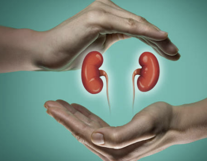 신장에 좋은 음식 신장 안좋으면 나타나는 현상 등 알아보기(24년 Ver)