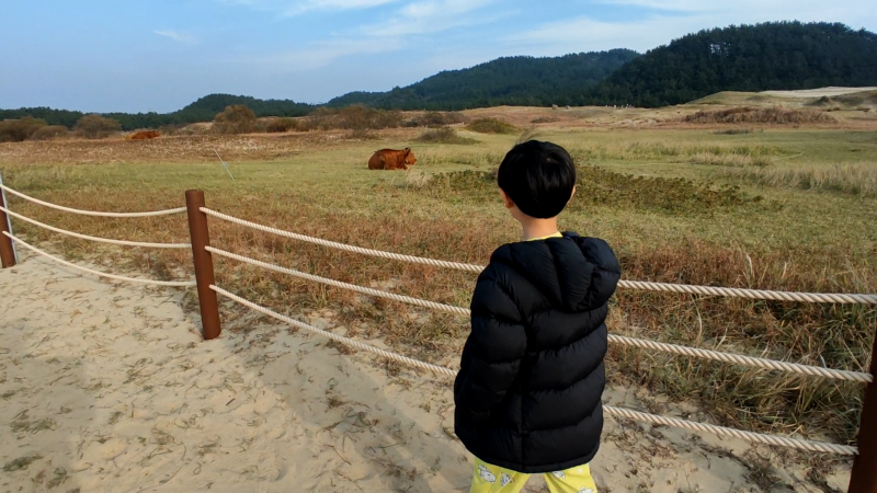 신두리해안사구