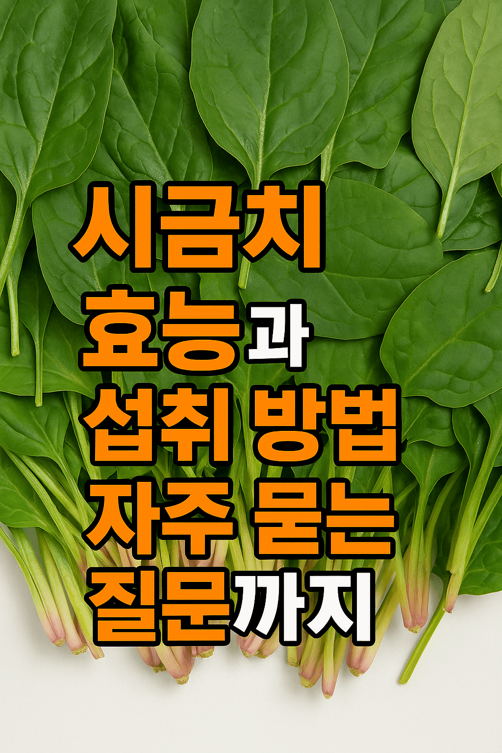 시금치 사진