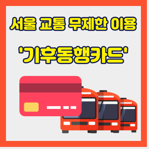 서울특별시에서 2024년 시행 예정인 대중교통 할인 카드
