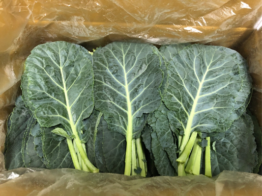 상자에-담겨있는-케일