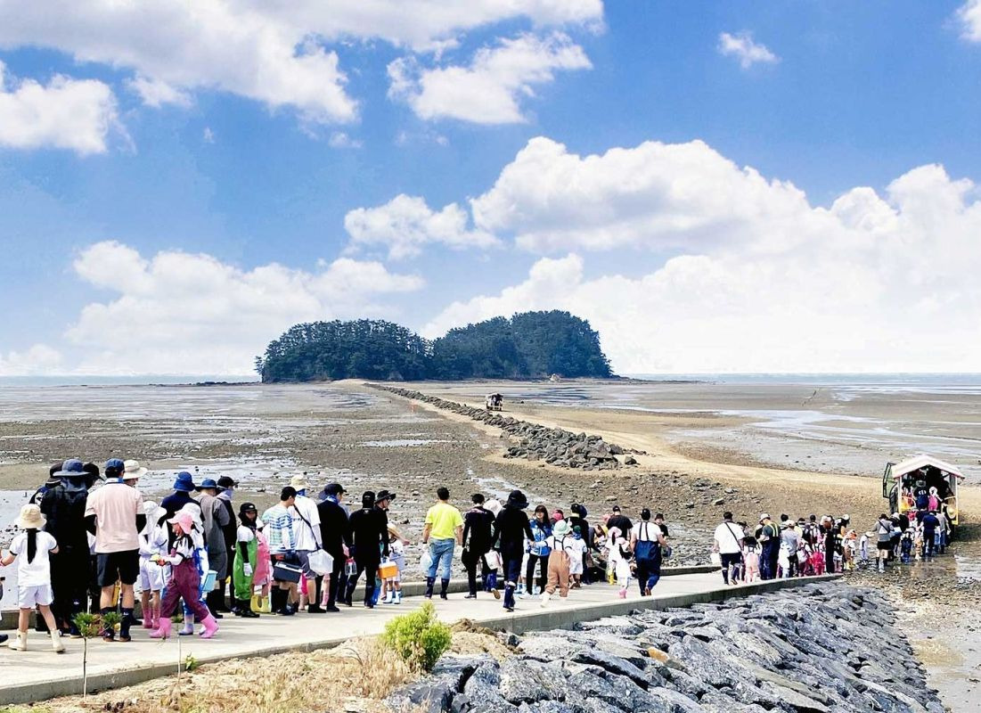 선도리갯벌체험장