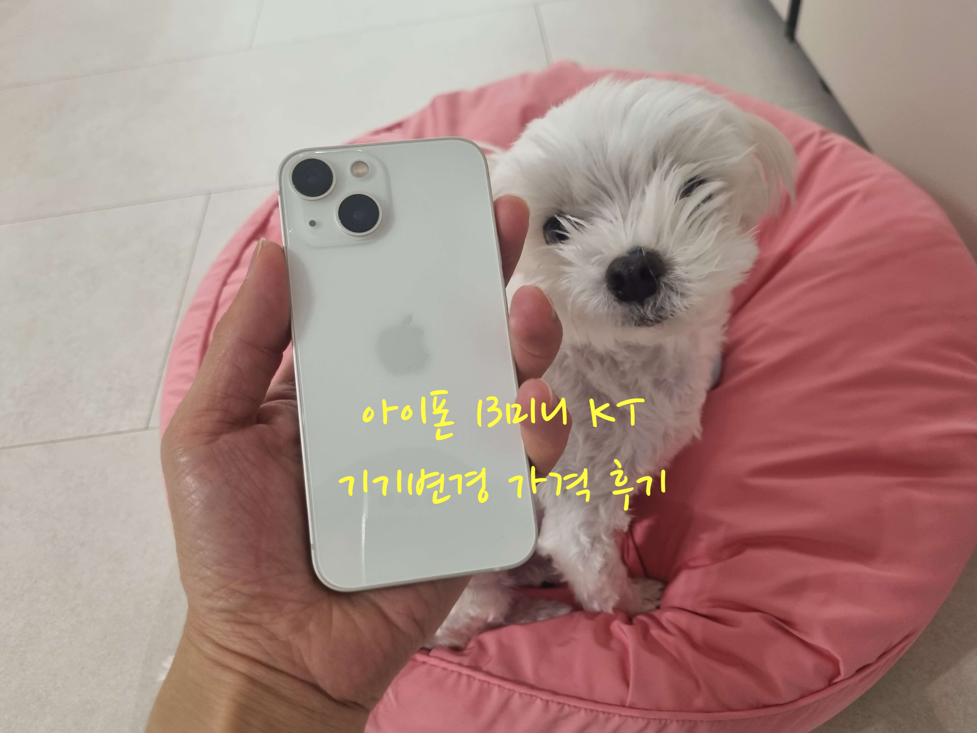 아이폰 13미니