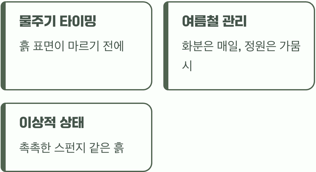 물을 사랑하는 신사