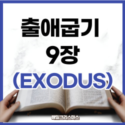 출애굽기 9장 1-35절 요약 [구약성경문제]