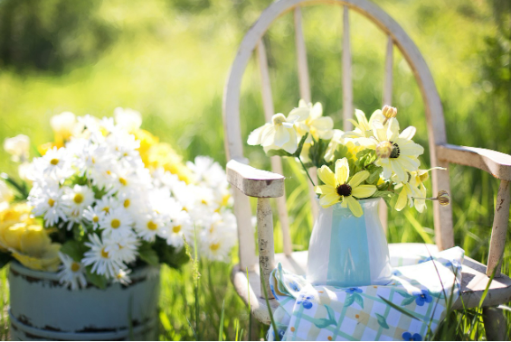 미니 정원 가꾸기와 그린 테라피 작은 자연이 주는 큰 행복