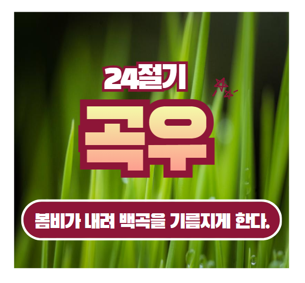 곡우이미지