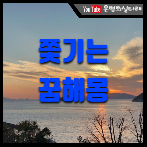 썸네일 사진