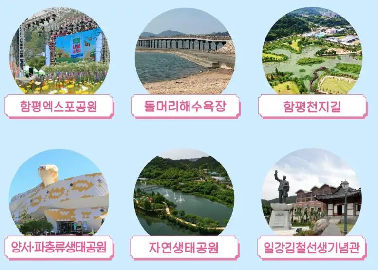 함평나비축제 기간, 주차장, 행사내용