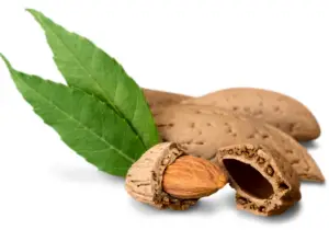 견과류 아몬드 효능과 영양성분&amp;#44; 주의사항