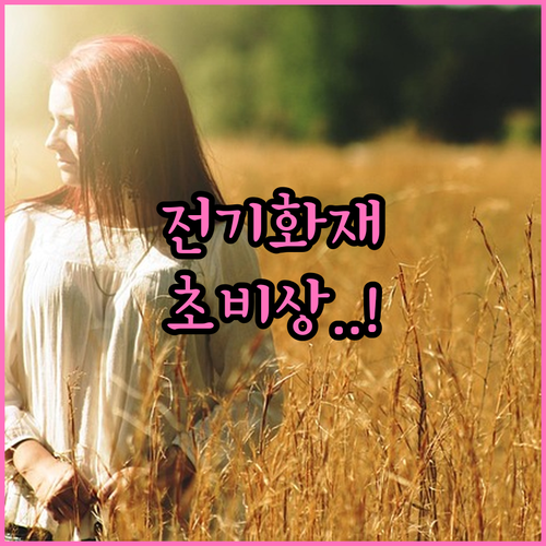 소방안전관리자가 제안하는 전열기구 안..