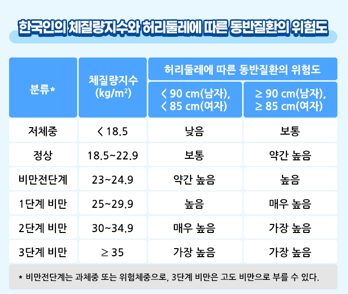 비만과 질환