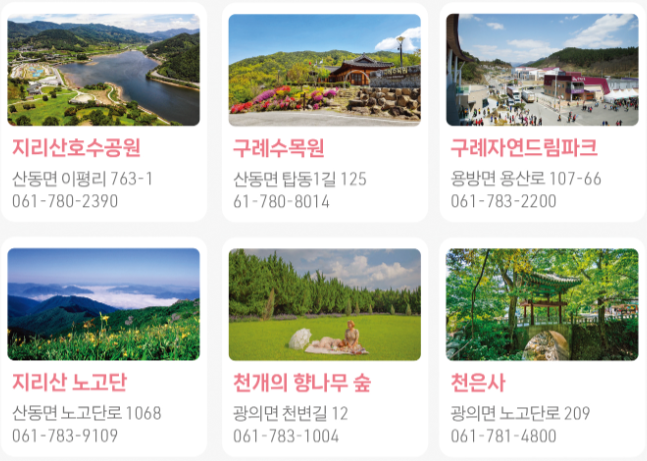 구례 산수유 꽃축제 안내.개막식,주차장,셔틀정보