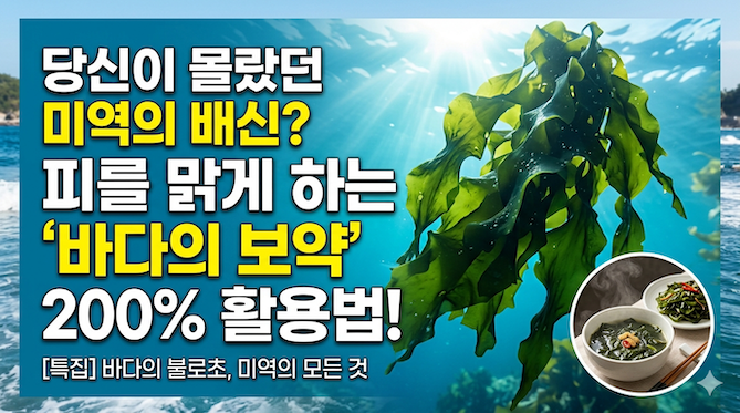 당신이 몰랐던 미역의 배신? 피를 맑게 하는 '바다의 보약' 200% 활용법!