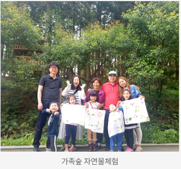 장흥 우드랜드 편백숲