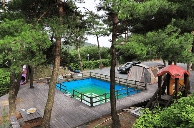 꽃구경 가볼만한 곳