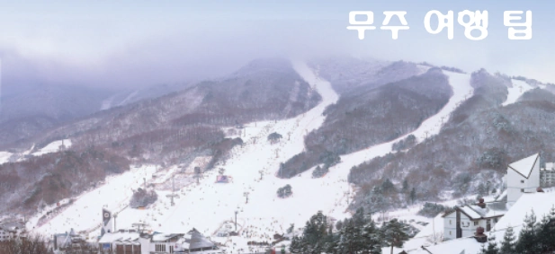 무주 가볼만한 곳 무주 스키장