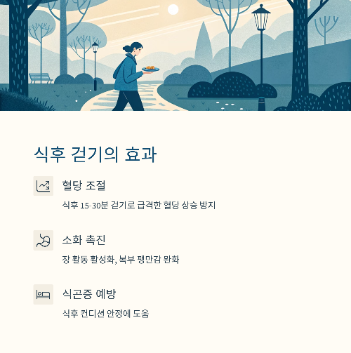 식후 걷기: 혈당 조절과 소화 기능 향상에 탁월