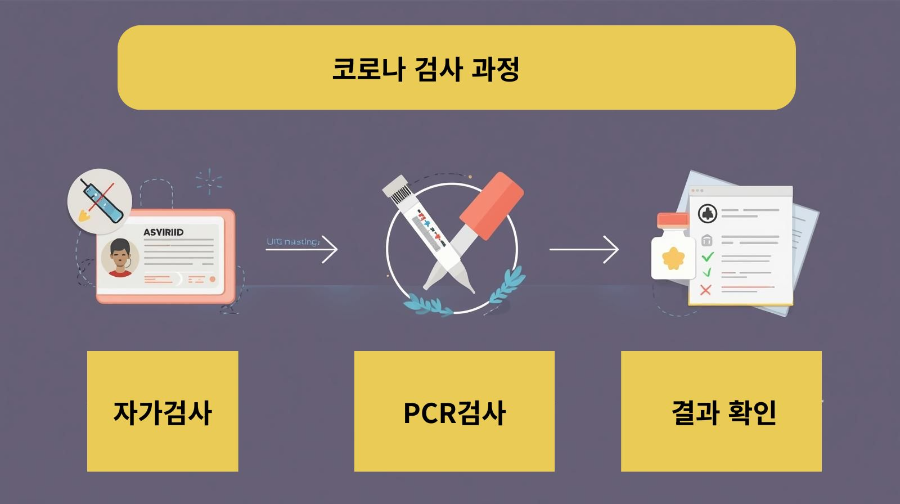 코로나 검사 과정(자가검사&rarr;PCR&rarr;결과 확인)을 단계별로 나타낸 인포그래픽