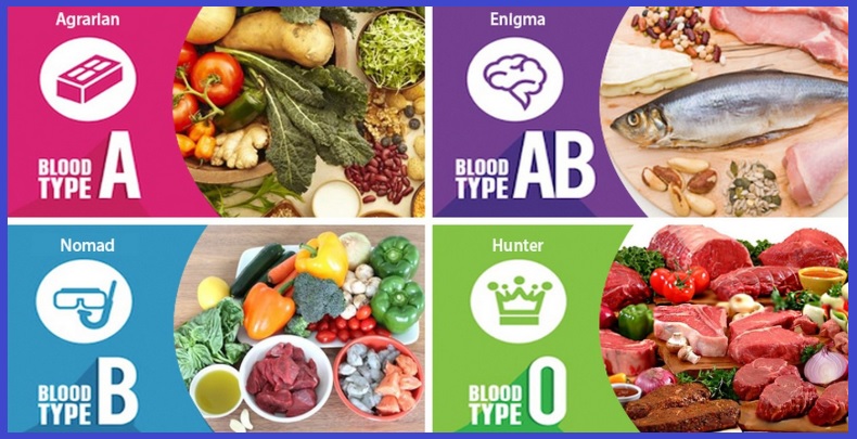 혈액형 다이어트