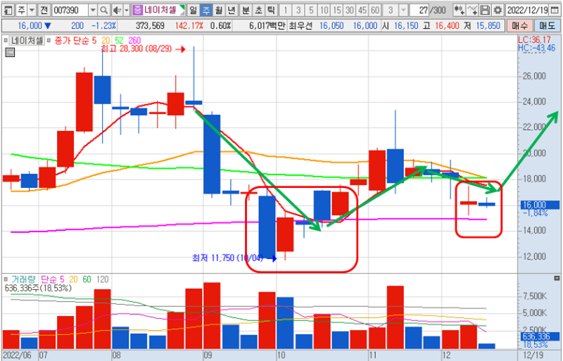 네이처셀 주봉 차트