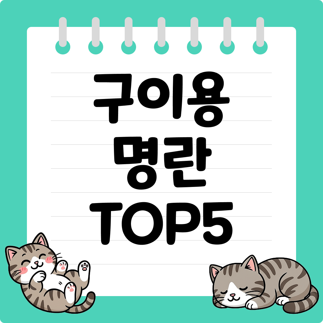 오차즈케 토핑으로 너무 좋은 구이용 명란 추천 순위 TOP5