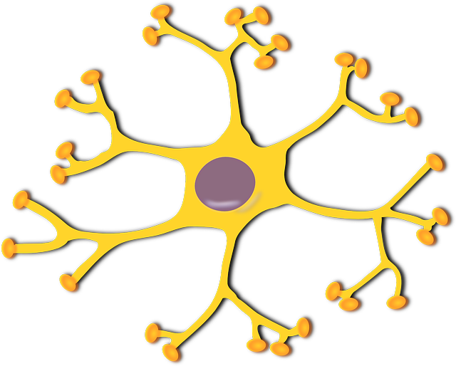 scRNA-seq