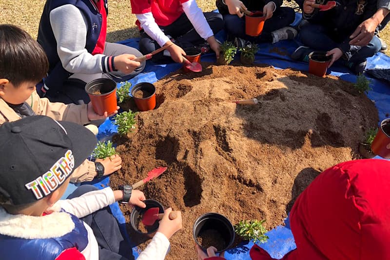 [봄 축제]전남 장흥 하늘빛수목정원 200% 즐기기｜튤립축제부터 동물농장, 체험까지!