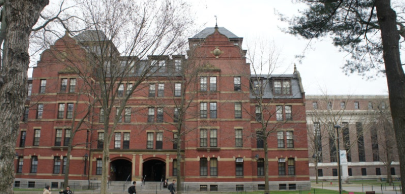 미국대학 건문사진