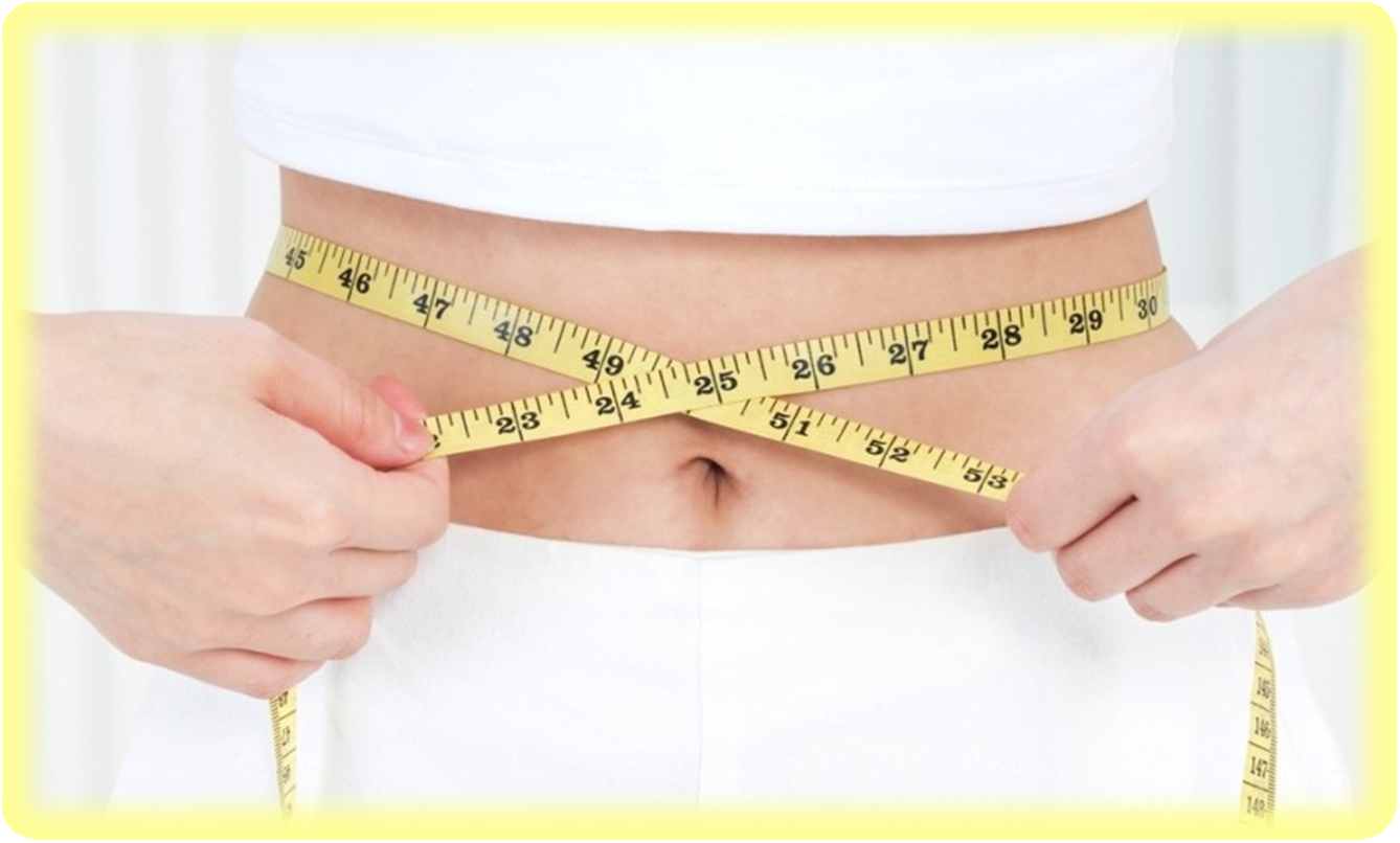 다이어트 성공 비밀 알아보기