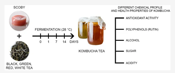 논문에서 실험한 내용