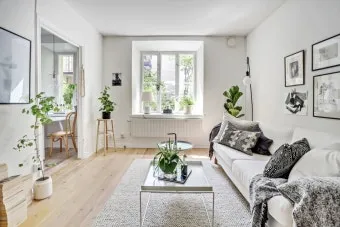 작은 원룸 식물배치 저조도선택 물주기 공간절약 아이디어_7