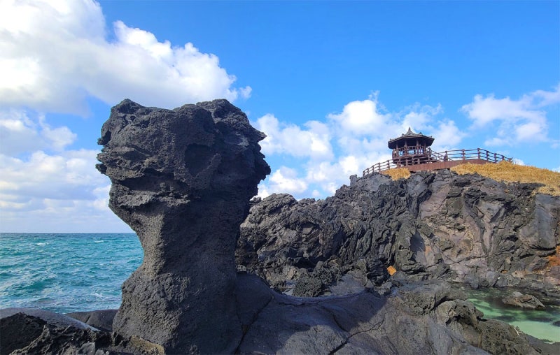 신촌리 닭머리벼슬