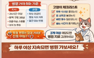 고양이 이상 행동 7가지 (병원 안 가면 위험합니다)