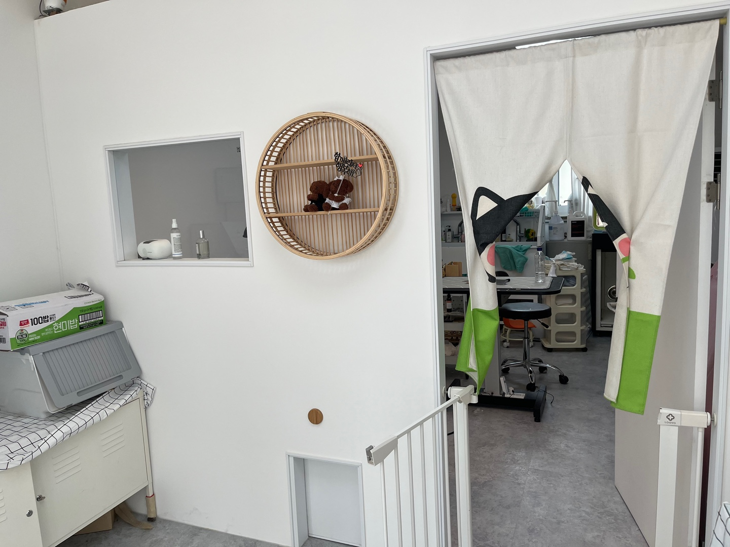 경기 광주 양벌동 애견미용, 강아지 미용, 덕자네 미용실