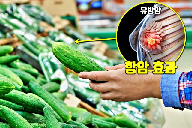 여름 3대 보양채소 오이 꼭지 효능, 항암에 좋은 음식, 붓기 제거, 루테인, 전립선, 건강, 팁줌마 매일꿀정보