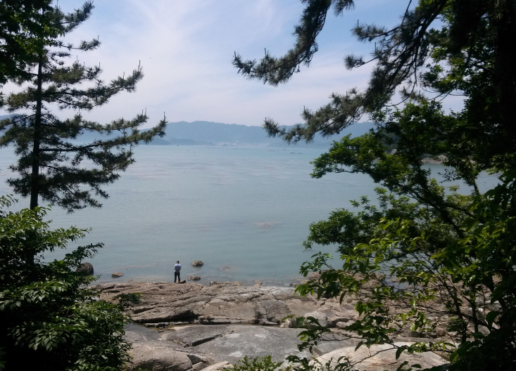 완도 역사 명소 음식